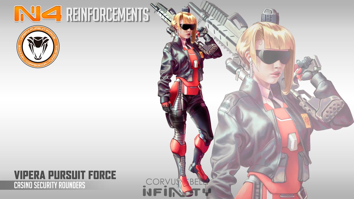Infinity reinforcements - Casino Security - Vipera Poursuit